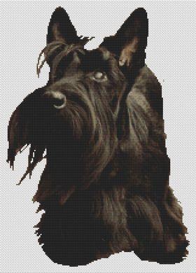 (image for) Scottish Terrier Adoration